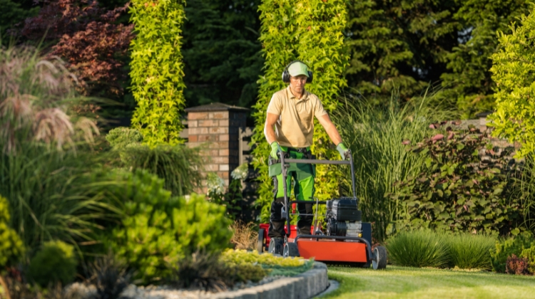 How To Start An LLC For Lawn Care Business