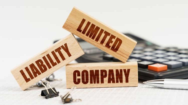 LLC Owner Title 2023: What Should You Know?